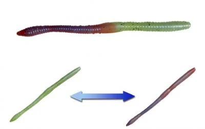 Smartbaits Softbaits Fiona Finesse Worm 2 Smartbaits Softbaits Fiona Finesse Worm