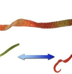 Smartbaits Softbaits Robbie Ribbon Worm 10