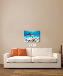 Thefishingshop Sunlight Shark Canvas Canvas Art