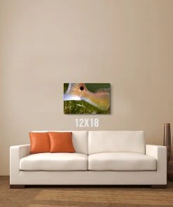 Thefishingshop Fish Tail Canvas
