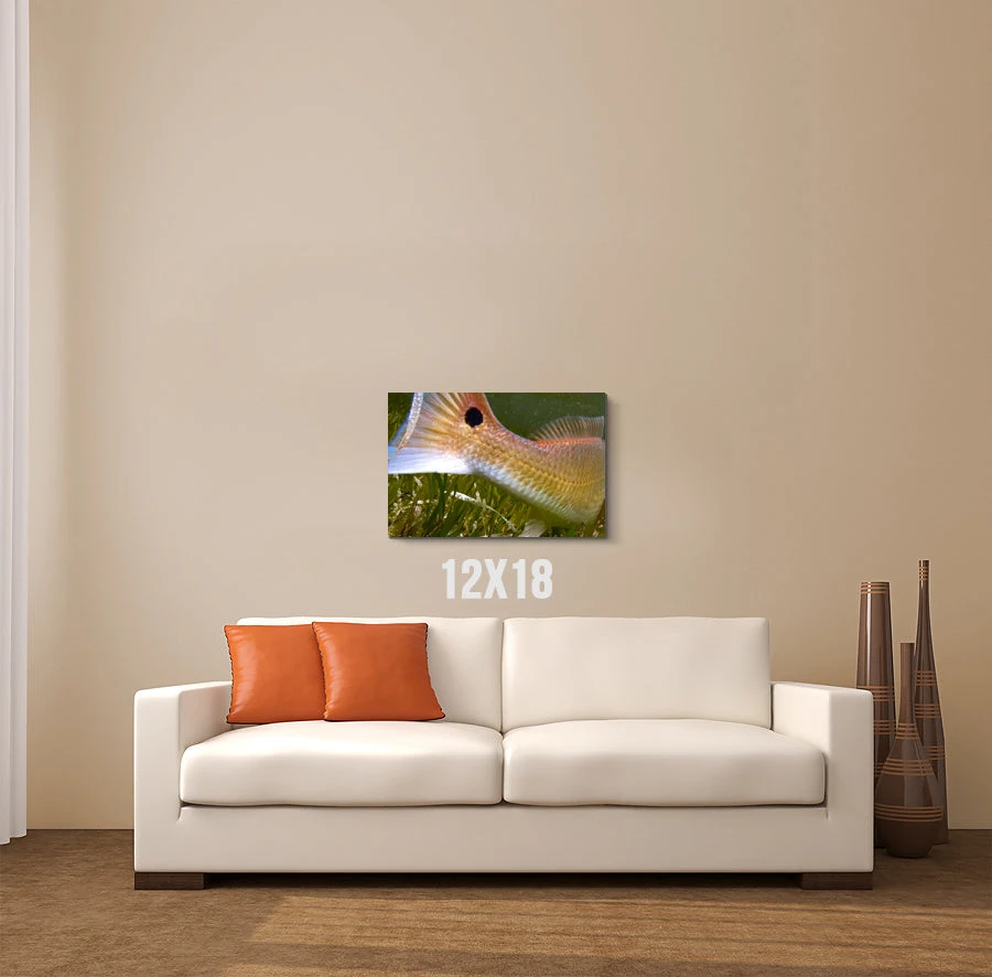 Thefishingshop Fish Tail Canvas 2 Thefishingshop Fish Tail Canvas