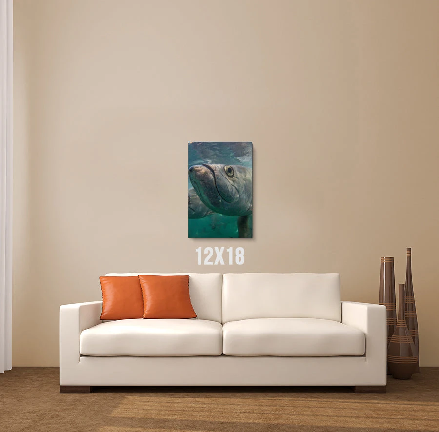 Thefishingshop Facetime Canvas Canvas Art 2 Thefishingshop Facetime Canvas Canvas Art