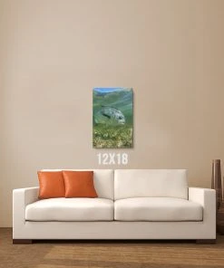 Thefishingshop Canvas Art Simply Swimming Canvas