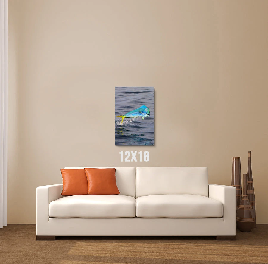 Thefishingshop Canvas Art Jump Canvas 2 Thefishingshop Canvas Art Jump Canvas