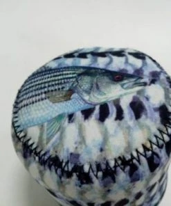 Thefishingshop SportFish Striper Baitcaster Series Cover 5 Thefishingshop SportFish Striper Baitcaster Series Cover