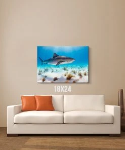 Thefishingshop Sunlight Shark Canvas Canvas Art