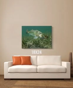 Thefishingshop Misty Waters Canvas Canvas Art