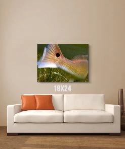 Thefishingshop Fish Tail Canvas 6 Thefishingshop Fish Tail Canvas