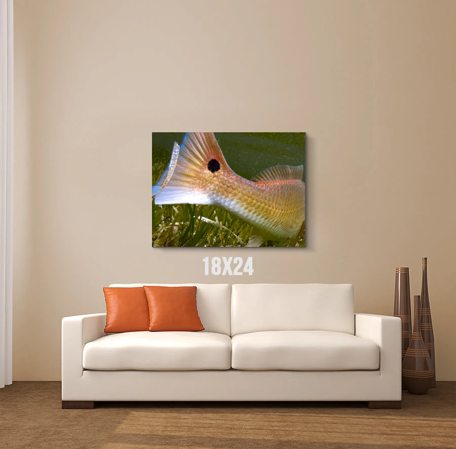 Thefishingshop Fish Tail Canvas 3 Thefishingshop Fish Tail Canvas