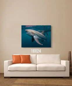 Thefishingshop Shark Canvas Canvas Art