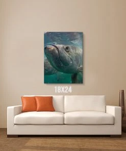 Thefishingshop Facetime Canvas Canvas Art 6 Thefishingshop Facetime Canvas Canvas Art
