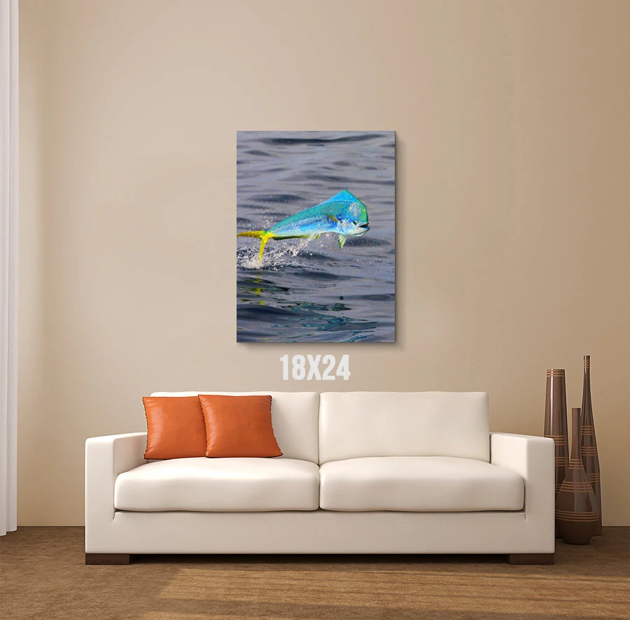 Thefishingshop Canvas Art Jump Canvas 3 Thefishingshop Canvas Art Jump Canvas