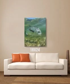 Thefishingshop Canvas Art Simply Swimming Canvas