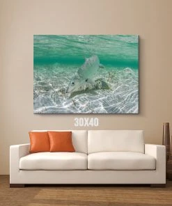 Thefishingshop Bonefish Canvas