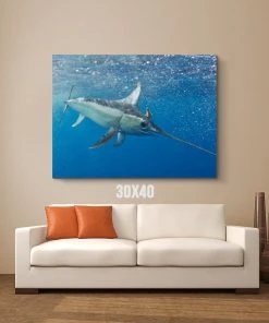 Thefishingshop Swordfish Canvas
