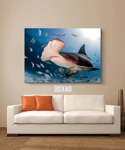 Thefishingshop Canvas Art Hammerhead