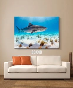 Thefishingshop Sunlight Shark Canvas Canvas Art