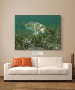 Thefishingshop Misty Waters Canvas Canvas Art