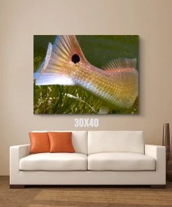 Thefishingshop Fish Tail Canvas 7 Thefishingshop Fish Tail Canvas