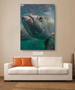 Thefishingshop Facetime Canvas Canvas Art 7 Thefishingshop Facetime Canvas Canvas Art