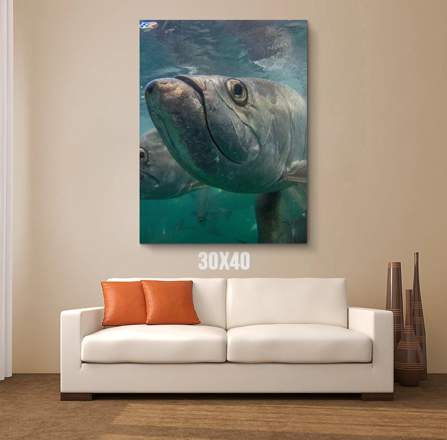 Thefishingshop Facetime Canvas Canvas Art 4 Thefishingshop Facetime Canvas Canvas Art