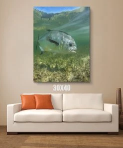 Thefishingshop Canvas Art Simply Swimming Canvas