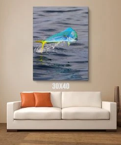Thefishingshop Canvas Art Jump Canvas 7 Thefishingshop Canvas Art Jump Canvas