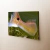 Thefishingshop Fish Tail Canvas