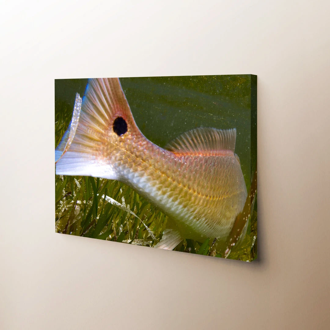 Thefishingshop Fish Tail Canvas 1 Thefishingshop Fish Tail Canvas
