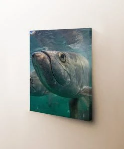 Thefishingshop Facetime Canvas Canvas Art