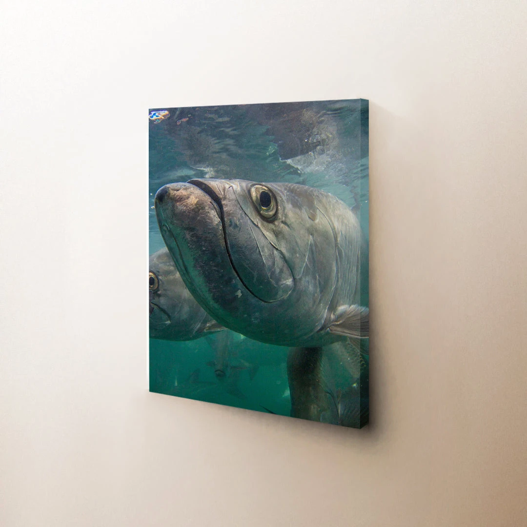 Thefishingshop Facetime Canvas Canvas Art 1 Thefishingshop Facetime Canvas Canvas Art