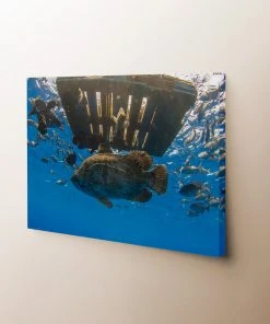 Thefishingshop Canvas Art Fish Pallet Canvas