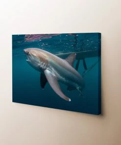Thefishingshop Shark Canvas Canvas Art