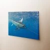 Thefishingshop Swordfish Canvas