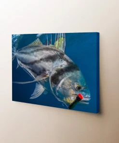 Thefishingshop Canvas Art Fish Lure Canvas