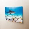 Thefishingshop Sunlight Shark Canvas Canvas Art