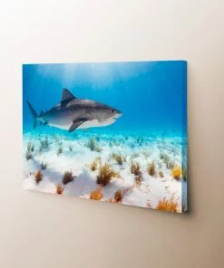 Thefishingshop Sunlight Shark Canvas Canvas Art