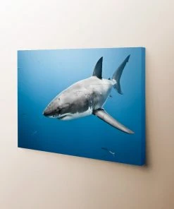 The Fishing Shop Sales 13 Thefishingshop The Deep Blue Sea Canvas Art