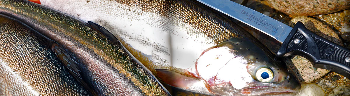 The Fishing Shop Sales -The Fishing Shop Sales banner700