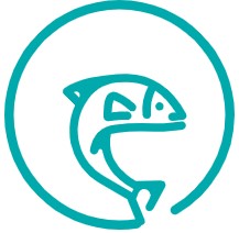 The Fishing Shop Sales